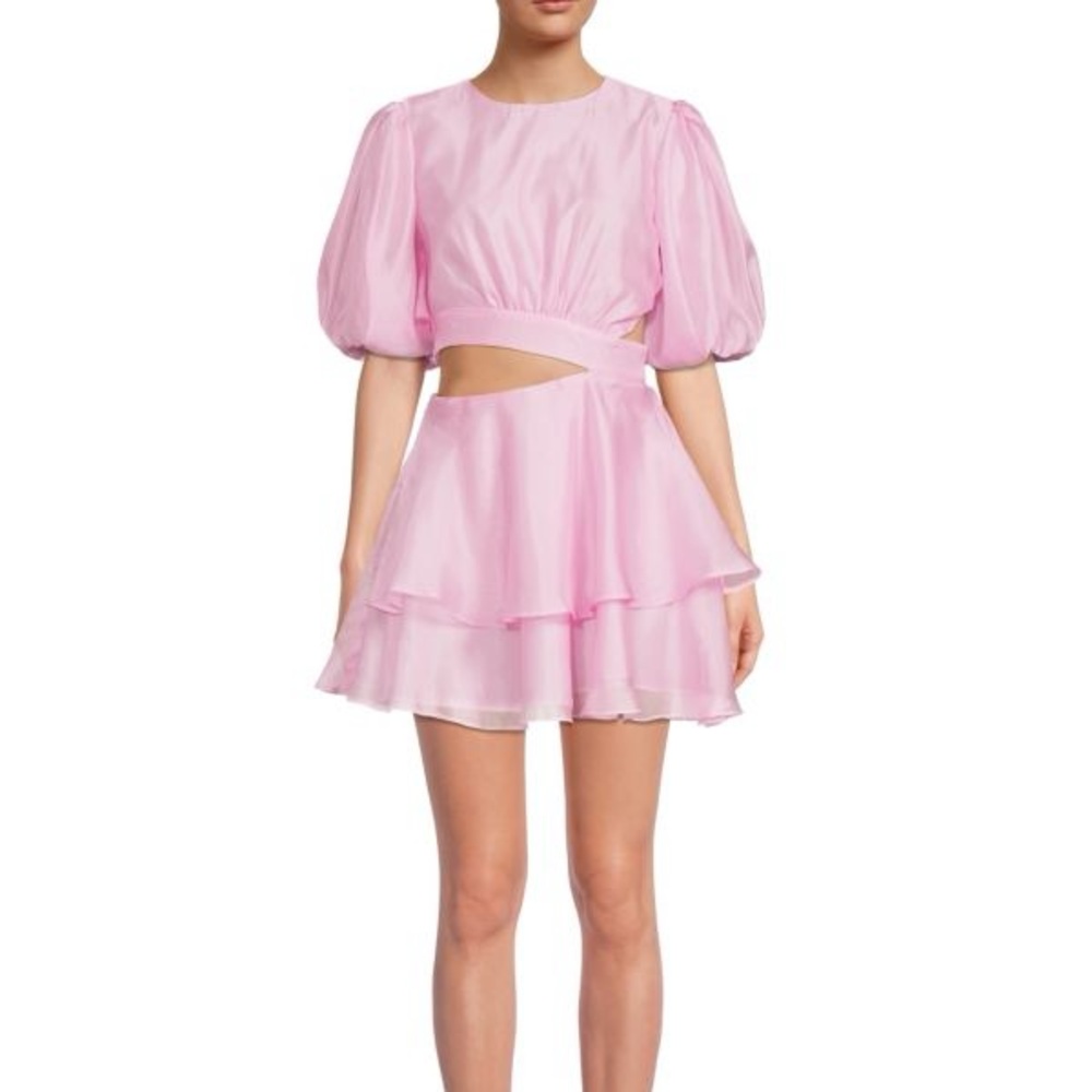 Bardot Enya Organza Mini Dress